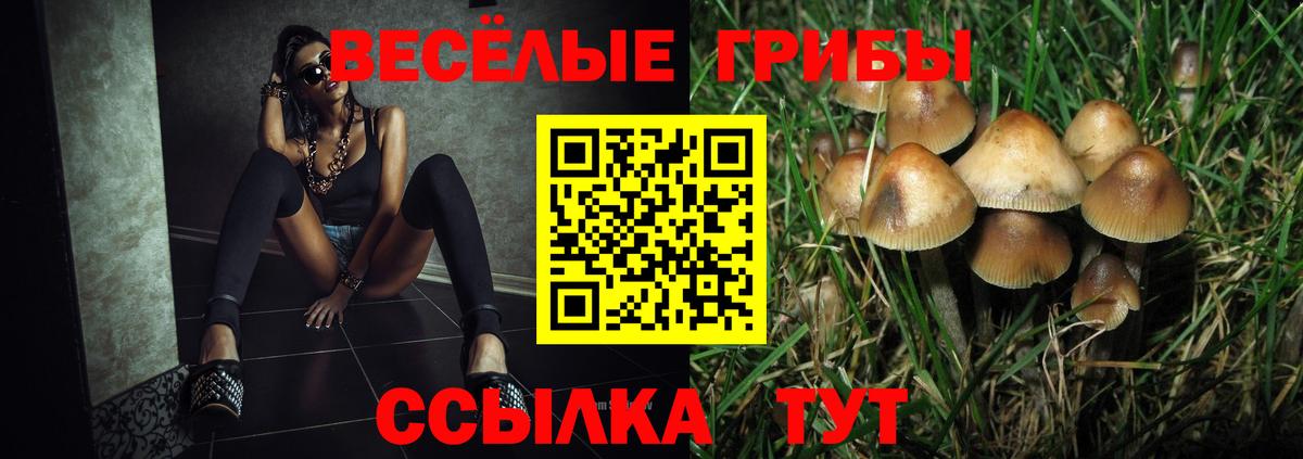 Псилоцибиновые грибы мицелий Белореченск
